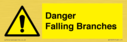 danger-falling-branches~